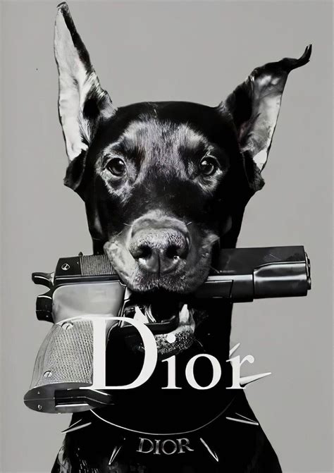 dior hund